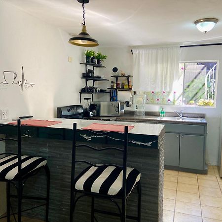 Zebra Studio Tijuana Buitenkant foto